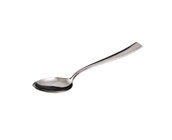 Lozhka-salvinelli-time-stolovaya-ctti_small